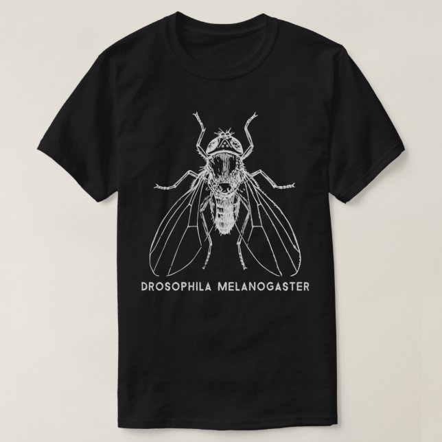 Fruit Fly Drosophila Melanogaster for Gene Researc T-Shirt (Design Front)
