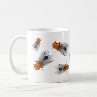 Fruit fly - Drosophila melanogaster mug
