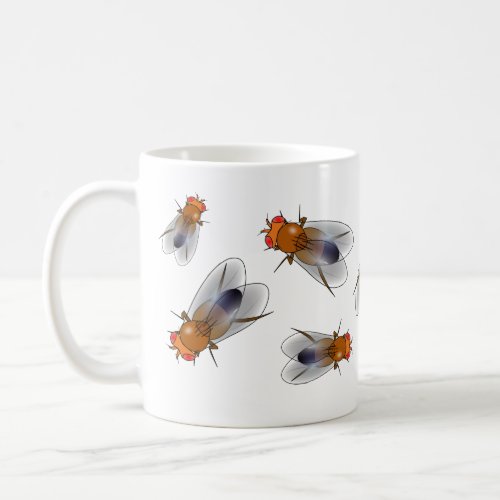 Fruit fly _ Drosophila melanogaster mug