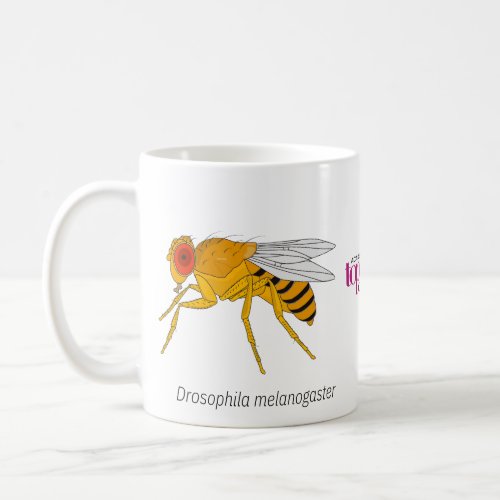 Fruit Fly Mug