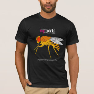 Fruit fly T-shirt