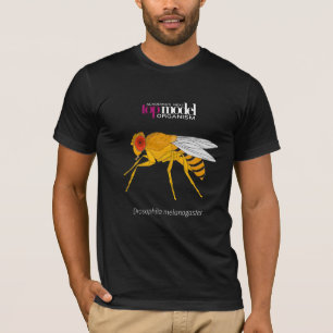 Fruit fly T-shirt