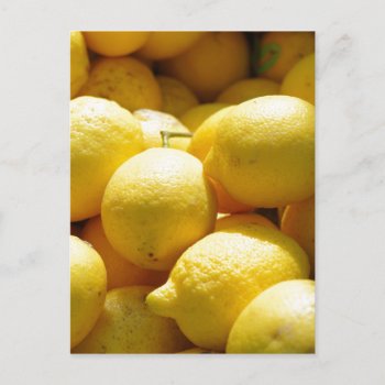 Fruit: Lemons Postcard by theunusual at Zazzle