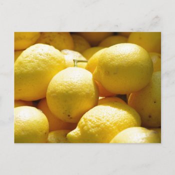 Fruit: Lemons Postcard by theunusual at Zazzle