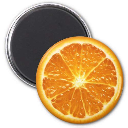 Fruit Magnet Series _Orange_