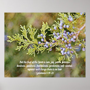 Fruit of the Spirit Nature Bible Verse Art Poster