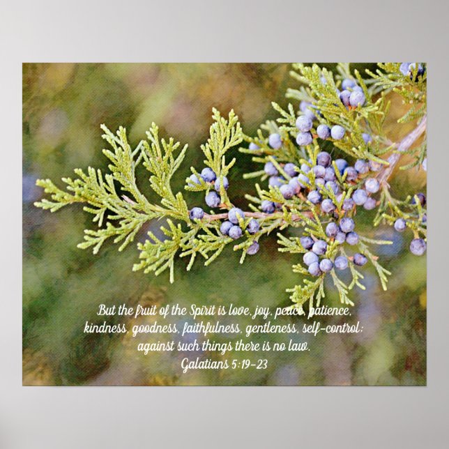 Fruit of the Spirit Nature Bible Verse Art Poster (Front)