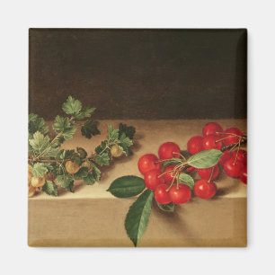 Fruit on the Table, 1644 Magnet