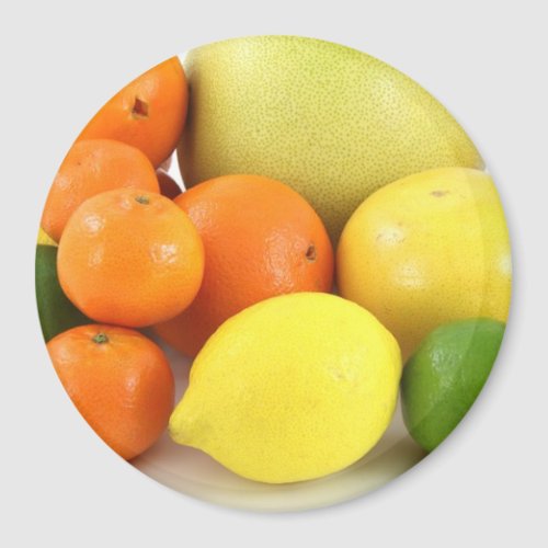 Fruit Orange Lemon and Melon Refrigerator Magnet