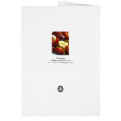 Fruit plate cards (Back)