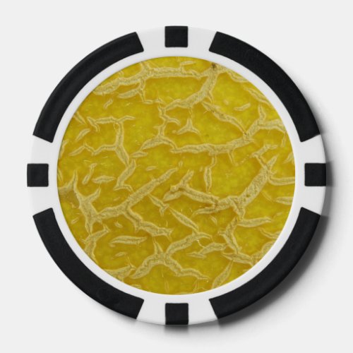 Fruit Skin Poker Chips