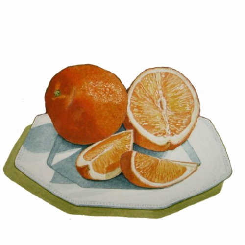 Fruit still life oranges sculpture fridge magnet