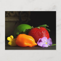 fruit-still-life postcard