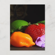 fruit-still-life postcard