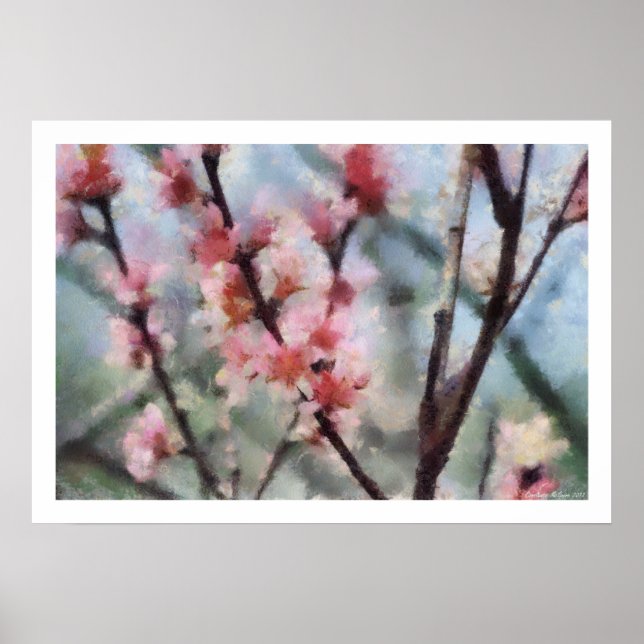 Fruit Tree Blossom Artwork Poster (Front)