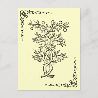 Fruit Tree Postcard