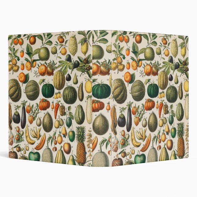Fruit Vegetable Botanical Scientific Illustration 3 Ring Binder (Background)