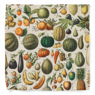 Fruit Vegetable Botanical Scientific Illustration Bandana