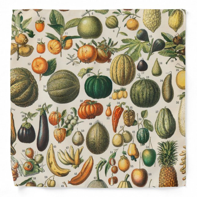 Fruit Vegetable Botanical Scientific Illustration Bandana (Front)