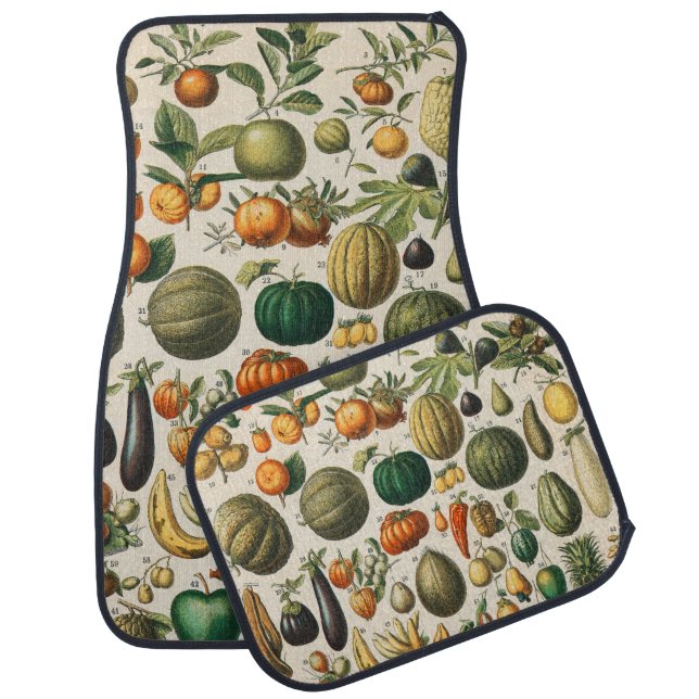 Fruit Vegetable Botanical Scientific Illustration Car Floor Mat (Set)