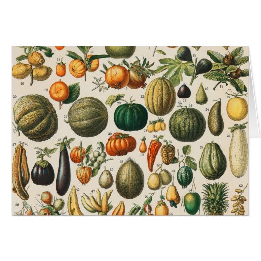 Fruit Vegetable Botanical Scientific Illustration Cards (Front Horizontal)