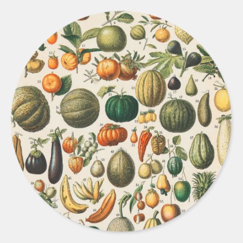 Fruit Vegetable Botanical Scientific Illustration Classic Round Sticker