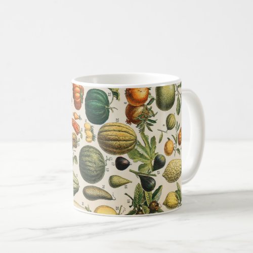Fruit Vegetable Botanical Scientific Illustration Coffee Mug