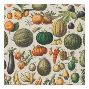 Fruit Vegetable Botanical Scientific Illustration Faux Canvas Print
