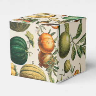 Fruit Vegetable Botanical Scientific Illustration Favor Boxes