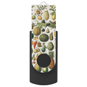 Fruit Vegetable Botanical Scientific Illustration Flash Drive