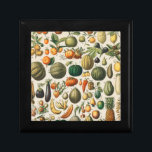 Fruit Vegetable Botanical Scientific Illustration Gift Box<br><div class="desc">Adorn your space with this richly detailed antique fruits and vegetables illustration, a beautiful piece of scientific history from the 1898 book, Nouveau Larousse Illustre. Created by Larousse, Pierre, Augé, and Claude, this vibrant botanical print showcases an incredible variety of produce, from pumpkins and eggplant to bananas and pineapples. Each...</div>
