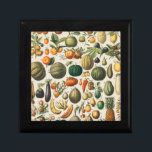 Fruit Vegetable Botanical Scientific Illustration Gift Box<br><div class="desc">Adorn your space with this richly detailed antique fruits and vegetables illustration, a beautiful piece of scientific history from the 1898 book, Nouveau Larousse Illustre. Created by Larousse, Pierre, Augé, and Claude, this vibrant botanical print showcases an incredible variety of produce, from pumpkins and eggplant to bananas and pineapples. Each...</div>