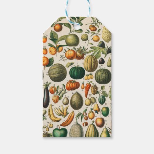 Fruit Vegetable Botanical Scientific Illustration Gift Tags