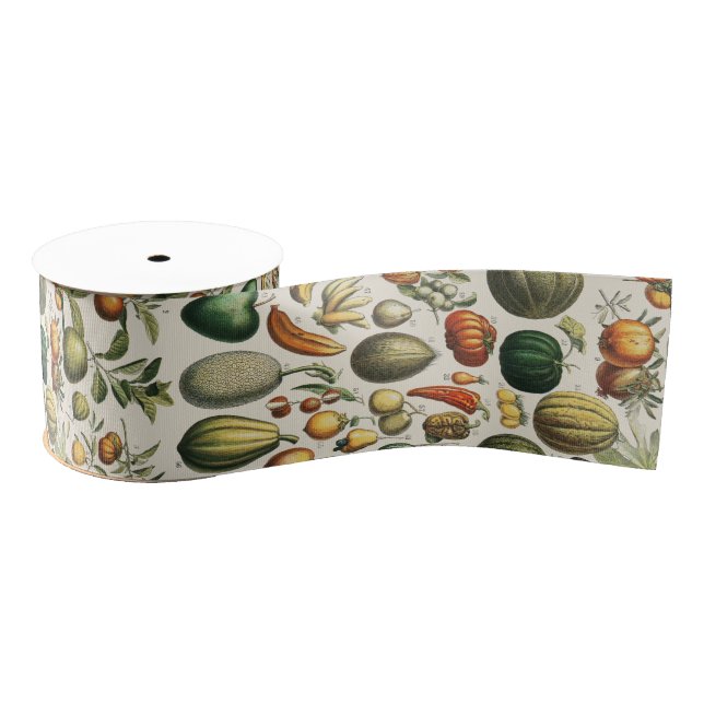 Fruit Vegetable Botanical Scientific Illustration Grosgrain Ribbon (Spool)