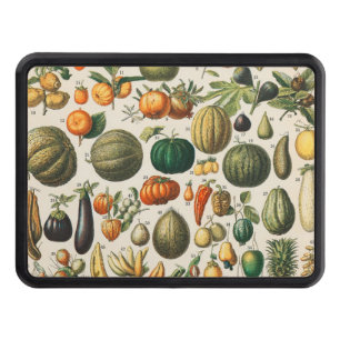 Fruit Vegetable Botanical Scientific Illustration Hitch Cover
