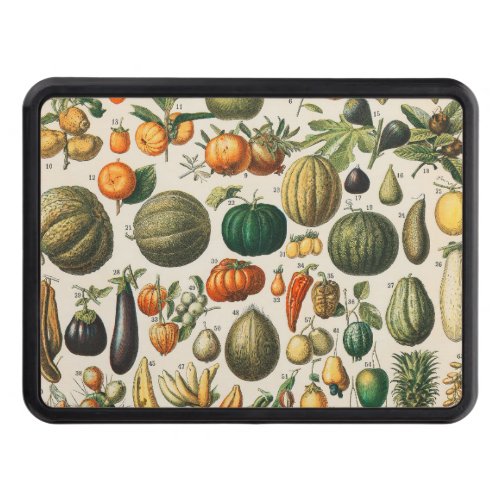 Fruit Vegetable Botanical Scientific Illustration Hitch Cover