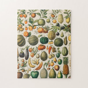 Fruit Vegetable Botanical Scientific Illustration Jigsaw Puzzle