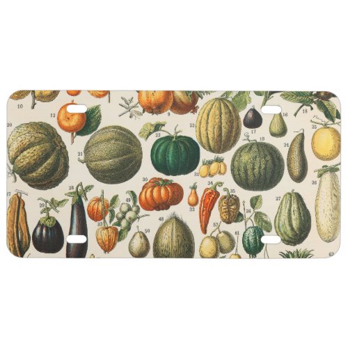 Fruit Vegetable Botanical Scientific Illustration License Plate