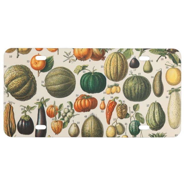 Fruit Vegetable Botanical Scientific Illustration License Plate (Front)