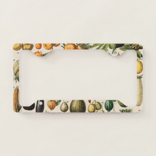 Fruit Vegetable Botanical Scientific Illustration License Plate Frame