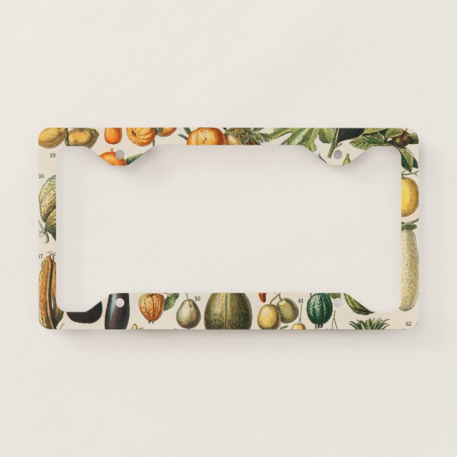 Fruit Vegetable Botanical Scientific Illustration License Plate Frame (Front)