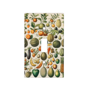 Fruit Vegetable Botanical Scientific Illustration Light Switch Cover