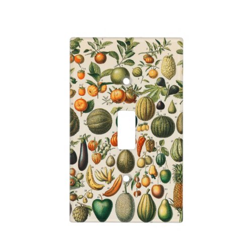 Fruit Vegetable Botanical Scientific Illustration Light Switch Cover