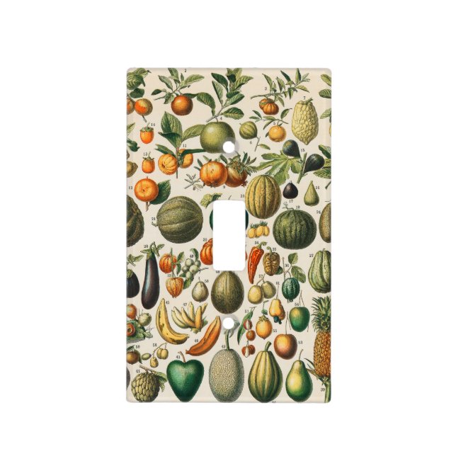 Fruit Vegetable Botanical Scientific Illustration Light Switch Cover (Front)
