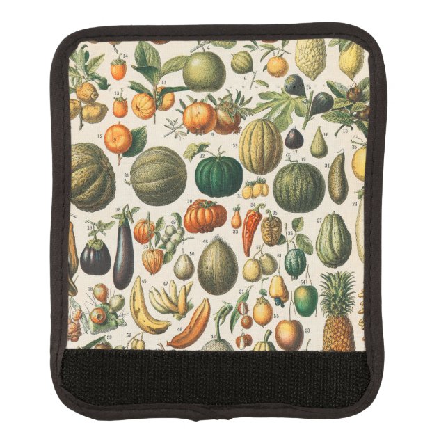 Fruit Vegetable Botanical Scientific Illustration Luggage Handle Wrap (Front)