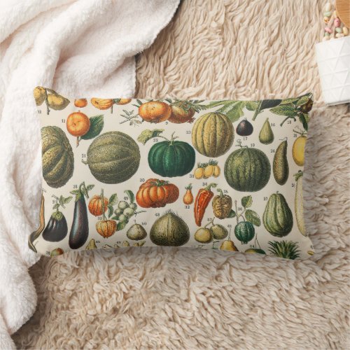 Fruit Vegetable Botanical Scientific Illustration Lumbar Pillow