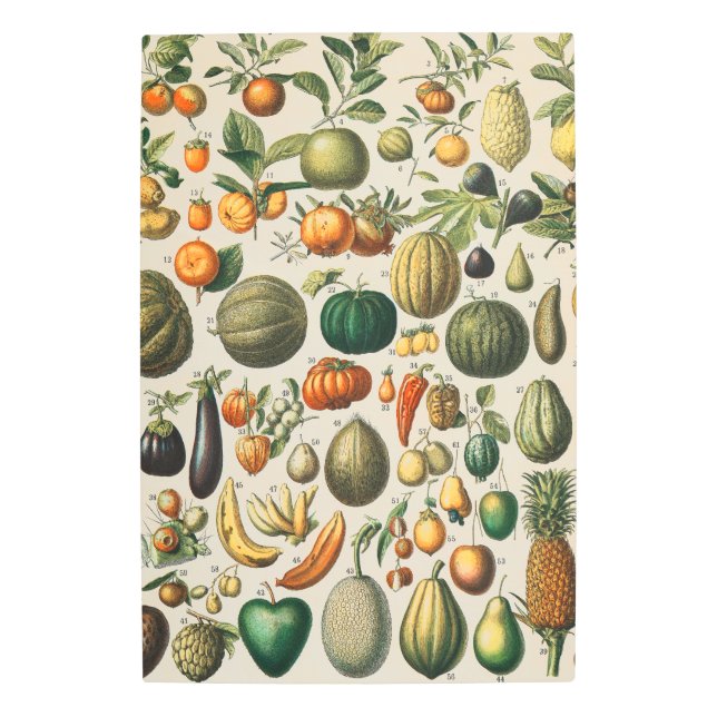 Fruit Vegetable Botanical Scientific Illustration Metal Print (Front)