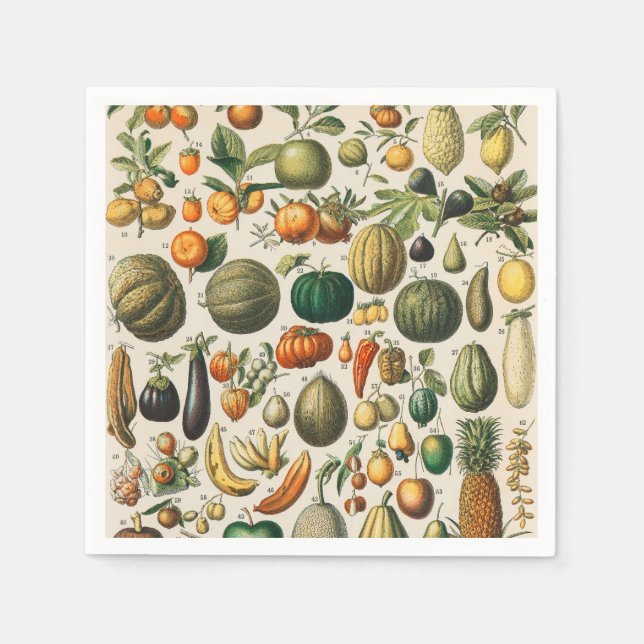 Fruit Vegetable Botanical Scientific Illustration Napkins (Front)