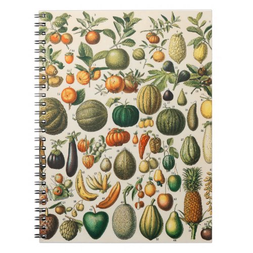 Fruit Vegetable Botanical Scientific Illustration Notebook