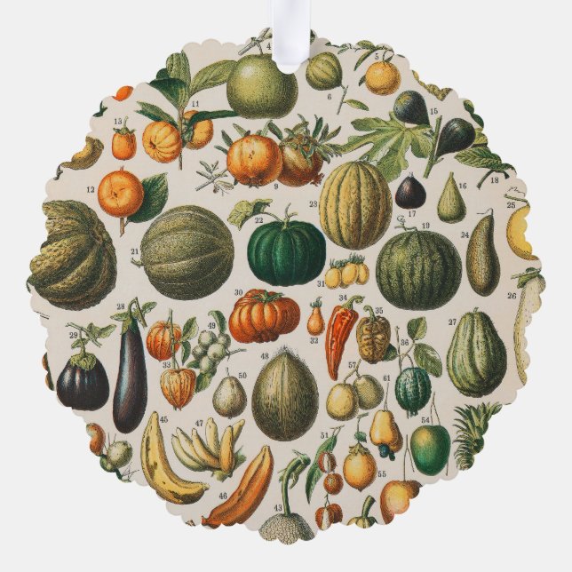 Fruit Vegetable Botanical Scientific Illustration Ornament Card (Back)